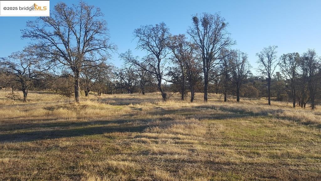 21344 Green Meadow Ln, Sonora, CA, 95370