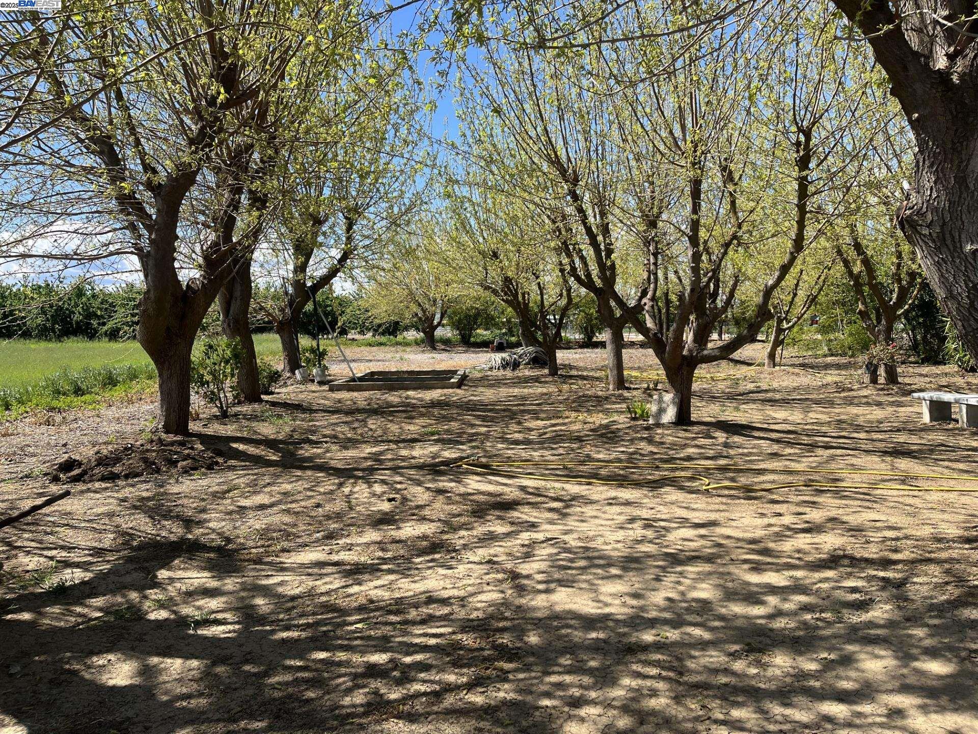 1290 Orange Ave, Patterson CA 95363 — photo 6