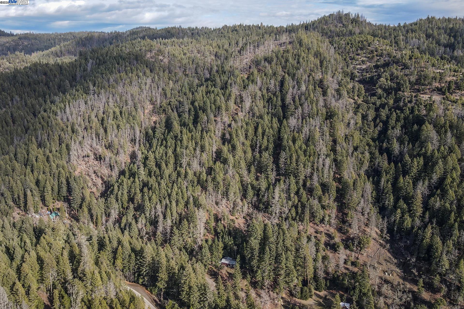 Detail Gallery Image 4 of 55 For 540 Lost Bridge Rd, Lewiston,  CA 96052 - 2 Beds | 2 Baths