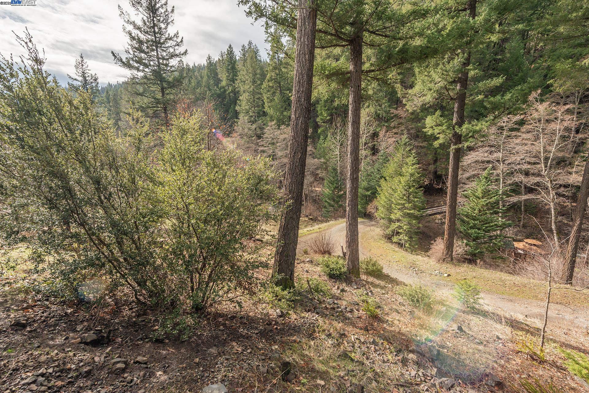 Detail Gallery Image 32 of 55 For 540 Lost Bridge Rd, Lewiston,  CA 96052 - 2 Beds | 2 Baths