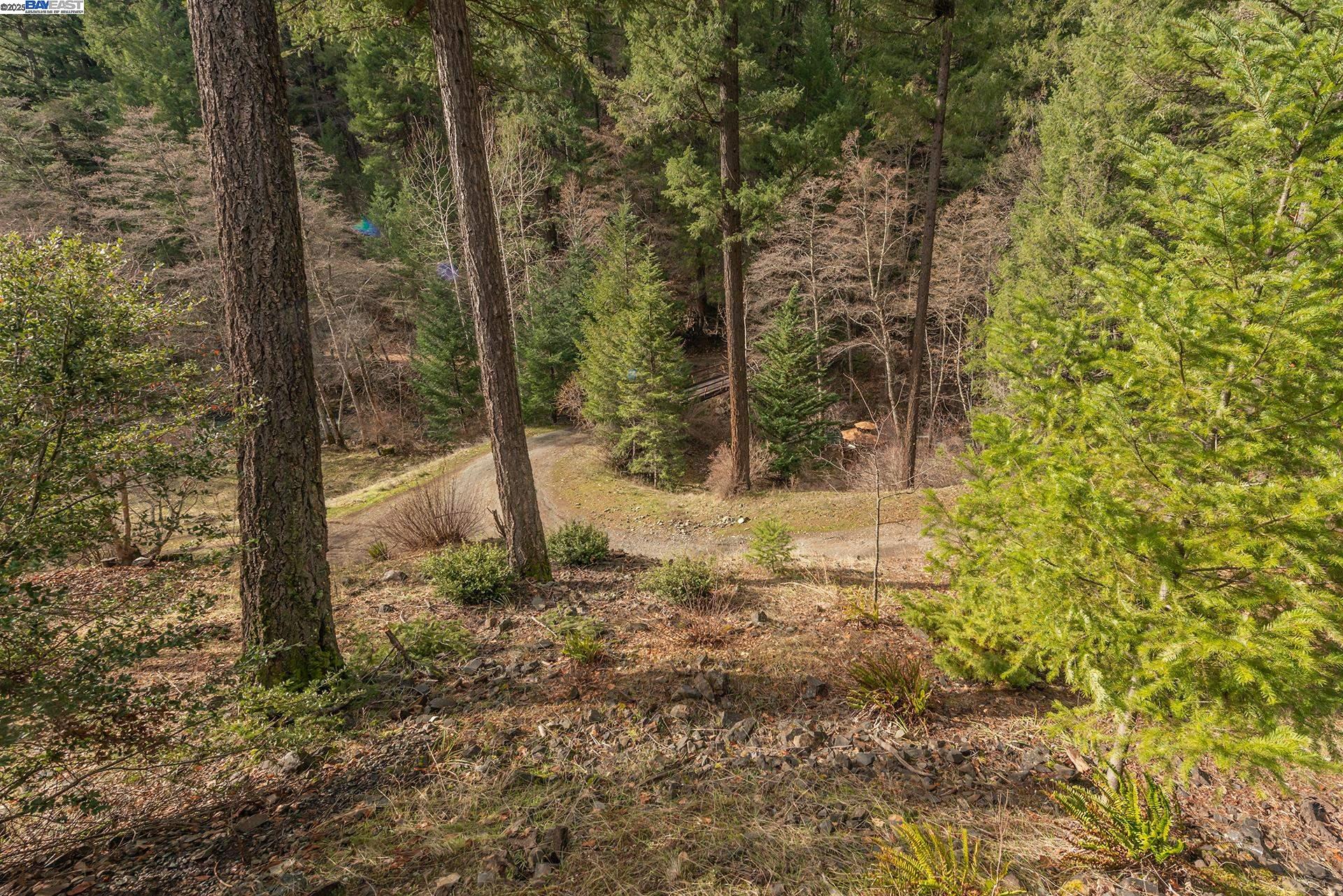 Detail Gallery Image 33 of 55 For 540 Lost Bridge Rd, Lewiston,  CA 96052 - 2 Beds | 2 Baths