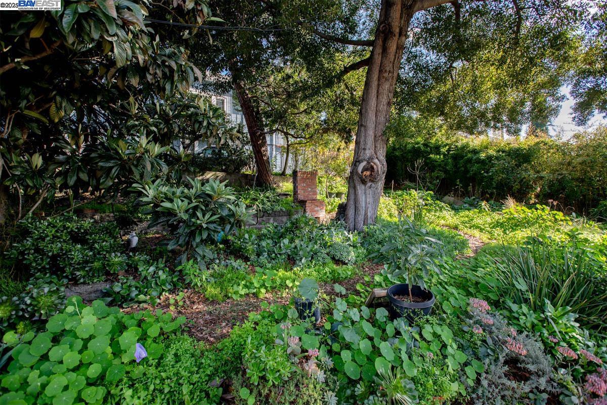 3140 E 27Th St, Oakland CA 94601 — photo 7