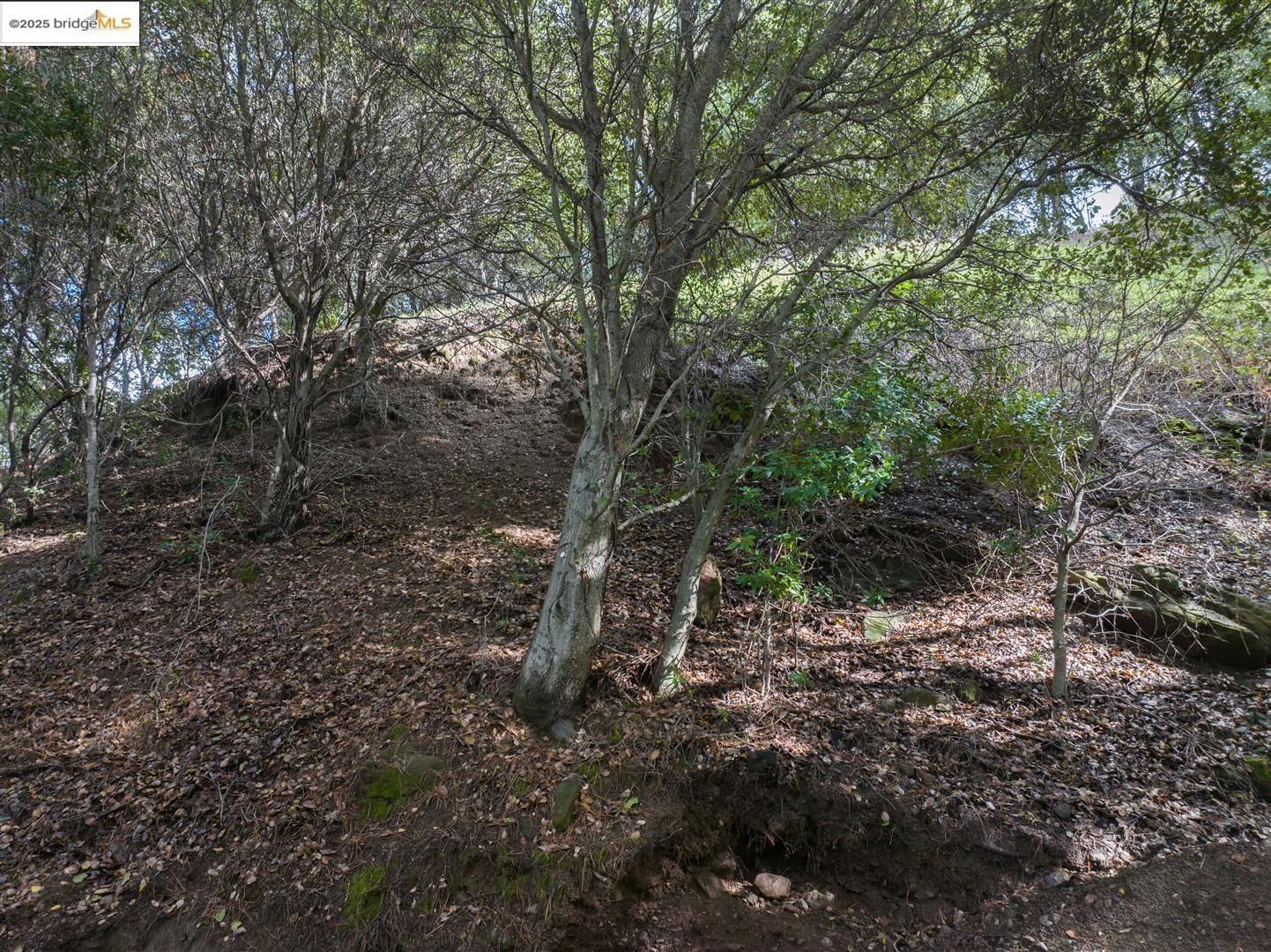 26 Lucille Way, Orinda CA 94563 — photo 15
