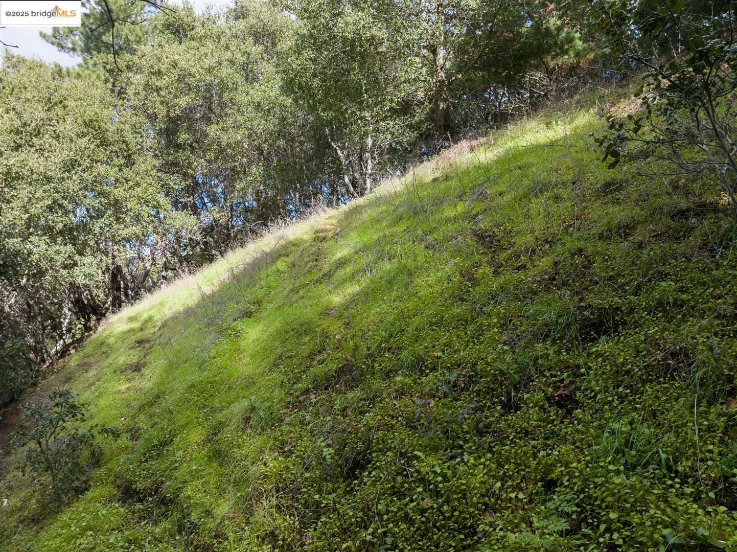 26 Lucille Way, Orinda CA 94563 — photo 16
