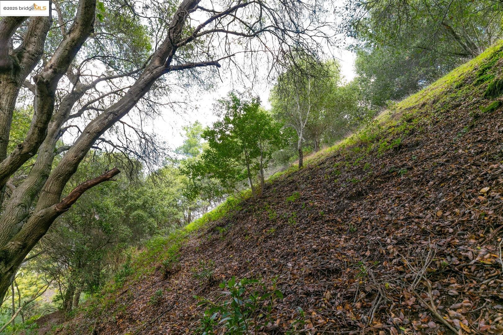 26 Lucille Way, Orinda CA 94563 — photo 19