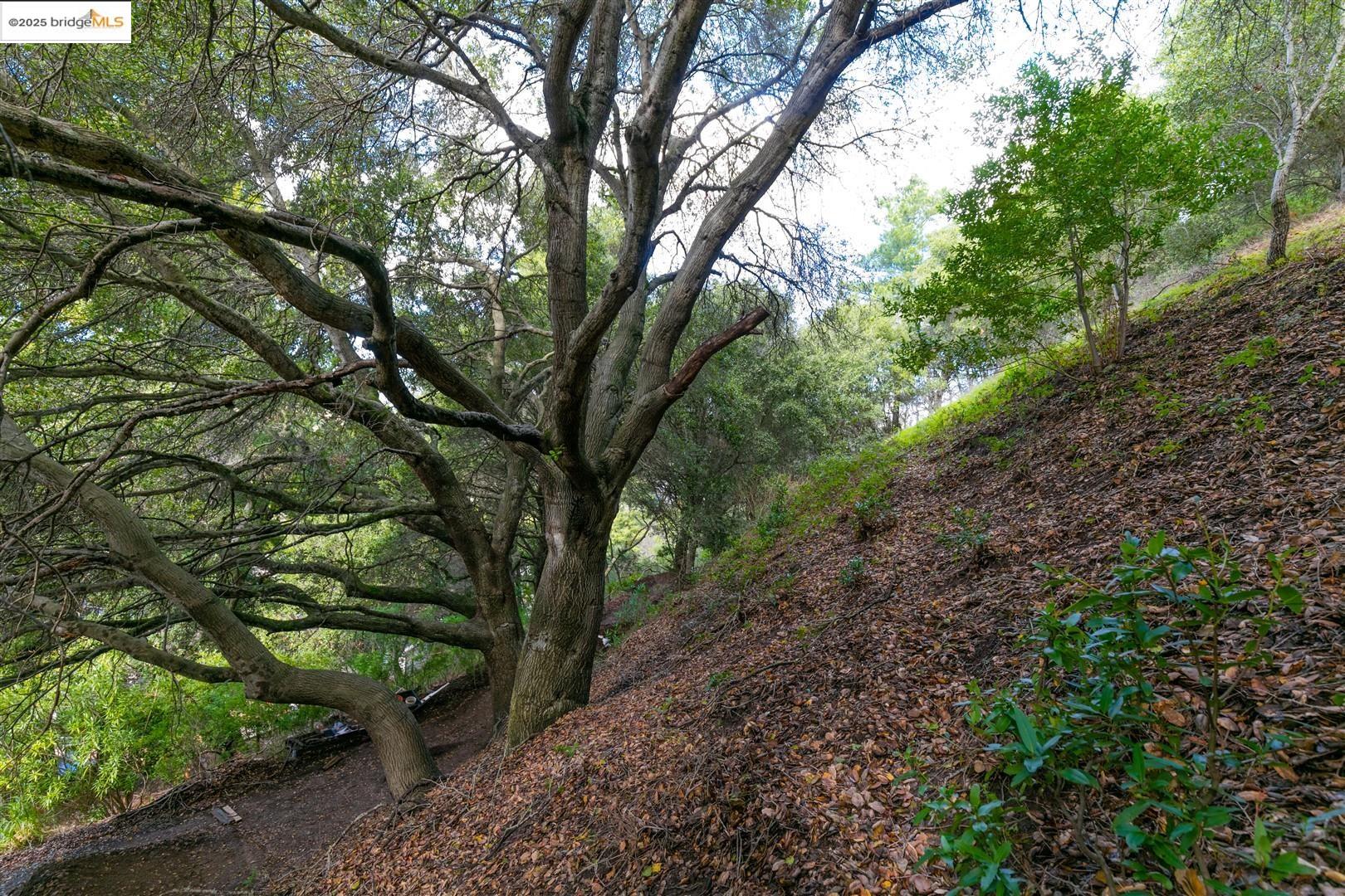26 Lucille Way, Orinda CA 94563 — photo 20
