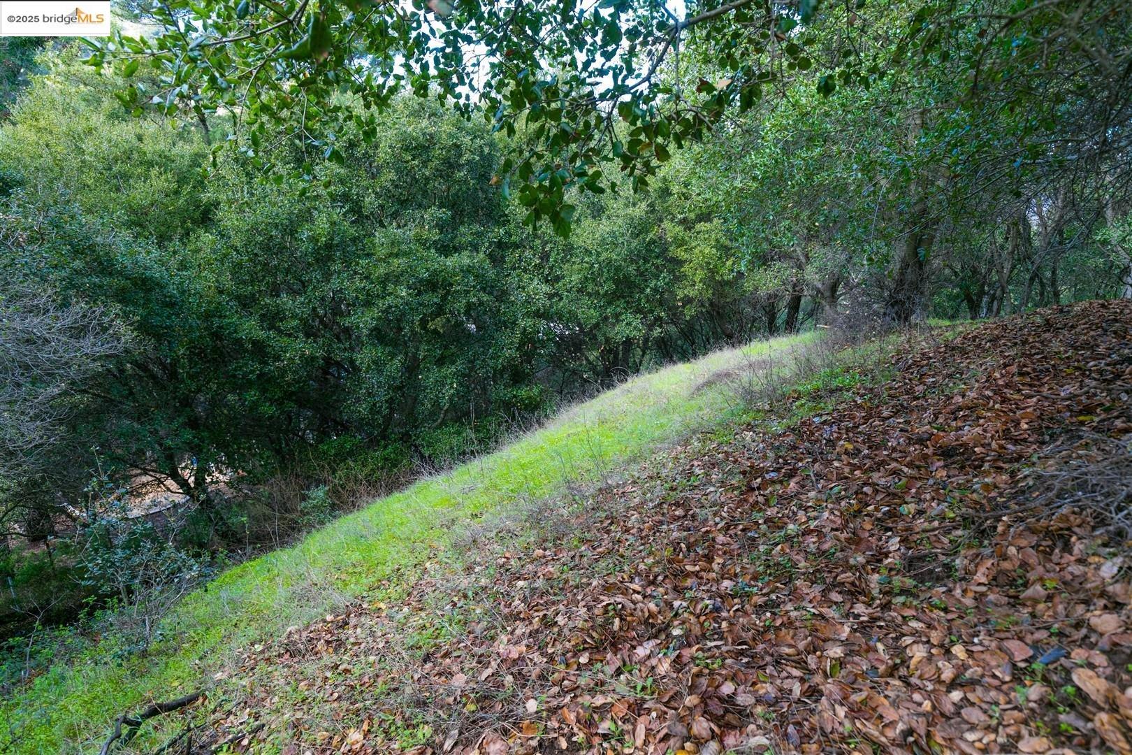 26 Lucille Way, Orinda CA 94563 — photo 21