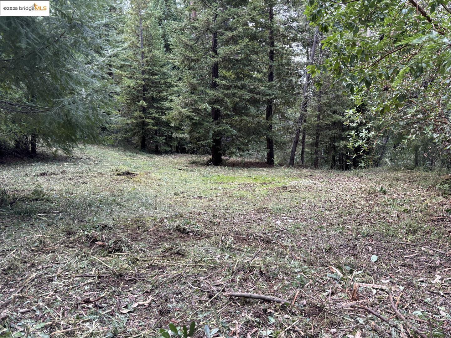 0 Croy RD, Morgan Hill CA 95037 — photo 6