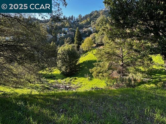 Tunnel Rd, Oakland CA 94611 — photo 12