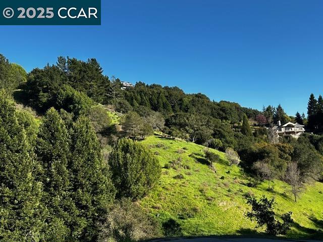 Tunnel Rd, Oakland CA 94611 — photo 7