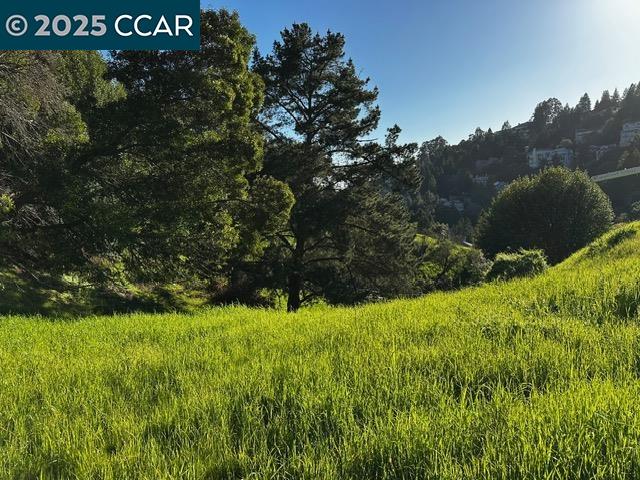 Tunnel Rd, Oakland CA 94611 — photo 9