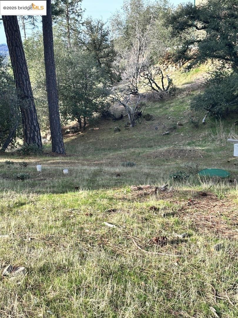 16655 Granite Ridge LN, Sonora CA 95370 — photo 4