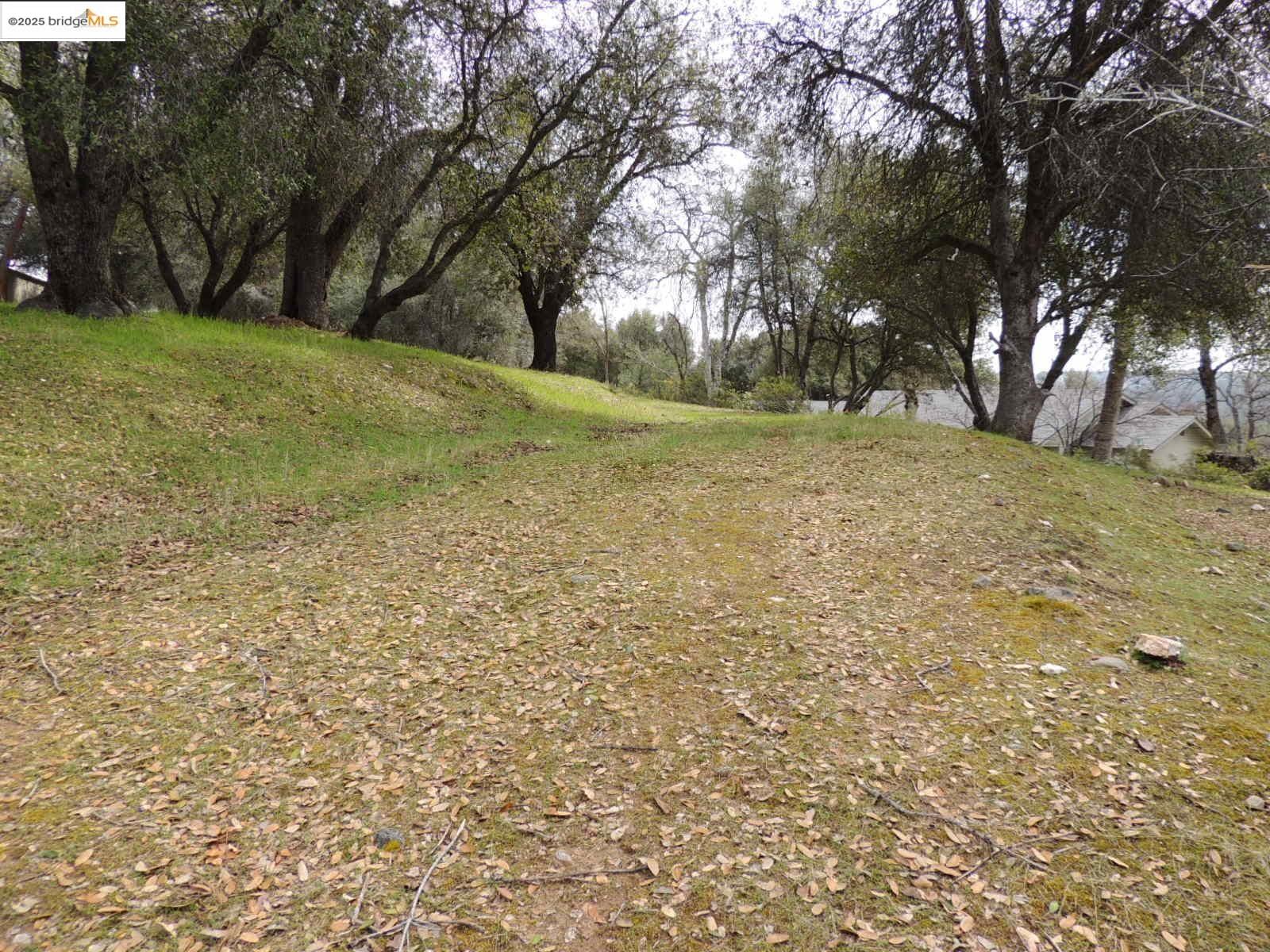 20915 Elderberry Way, Groveland CA 95321 — photo 11
