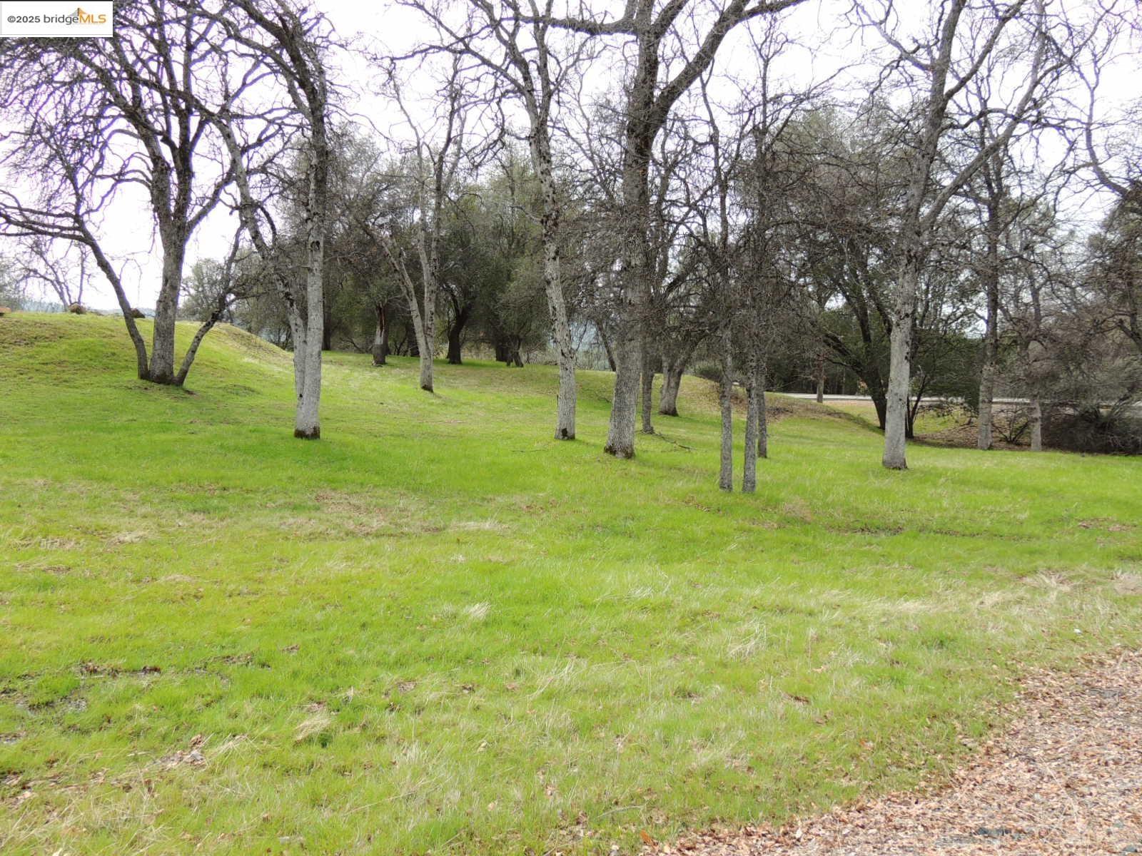 20915 Elderberry Way, Groveland CA 95321 — photo 28