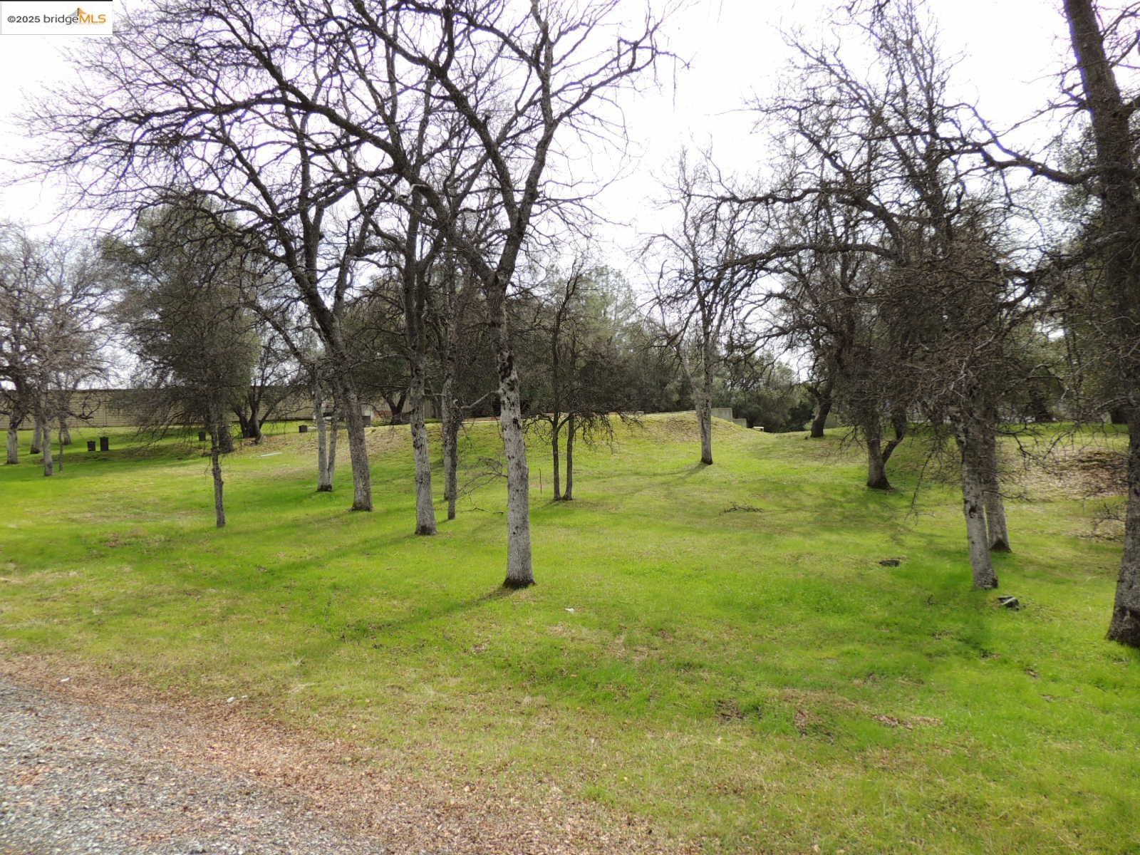 20915 Elderberry Way, Groveland CA 95321 — photo 7