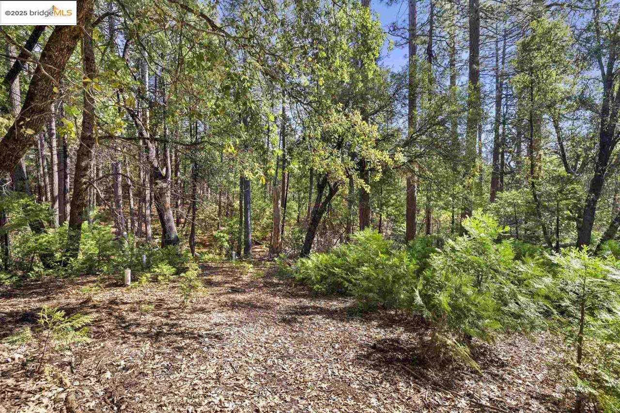 23282 Comstock Ranch, Sonora CA 95370 — photo 12