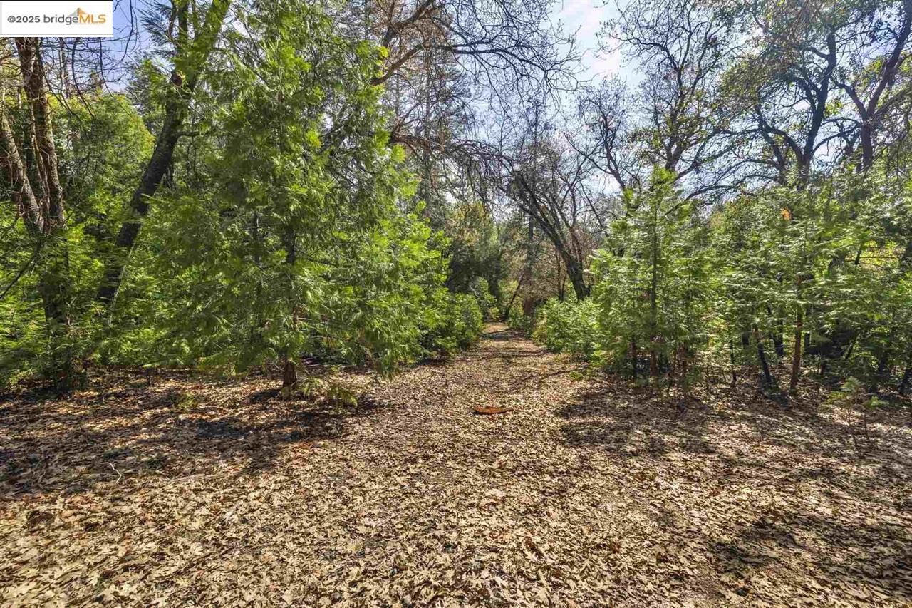 23282 Comstock Ranch, Sonora CA 95370 — photo 17