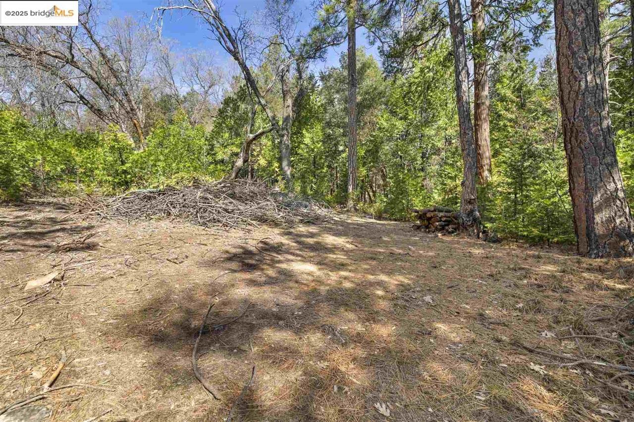 23282 Comstock Ranch, Sonora CA 95370 — photo 19