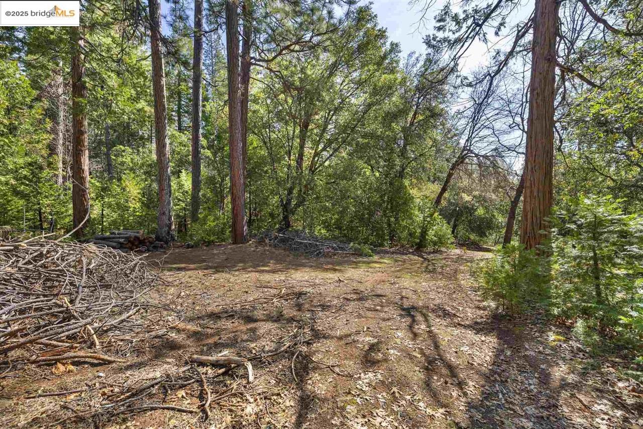 23282 Comstock Ranch, Sonora CA 95370 — photo 3