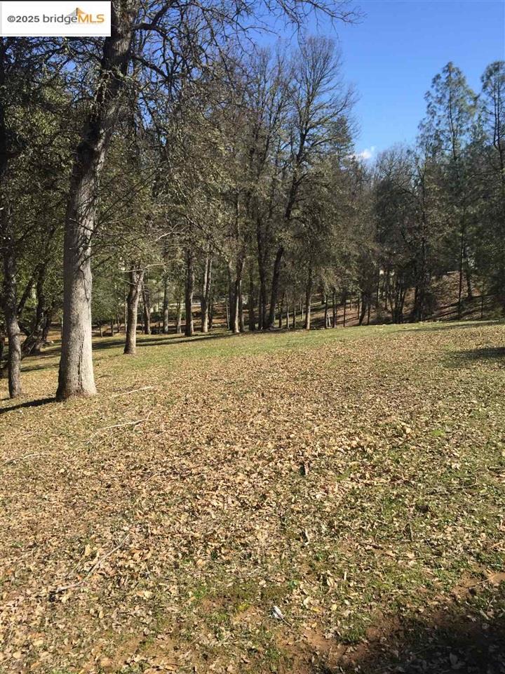 Front Image Thumbnail for EB41092403