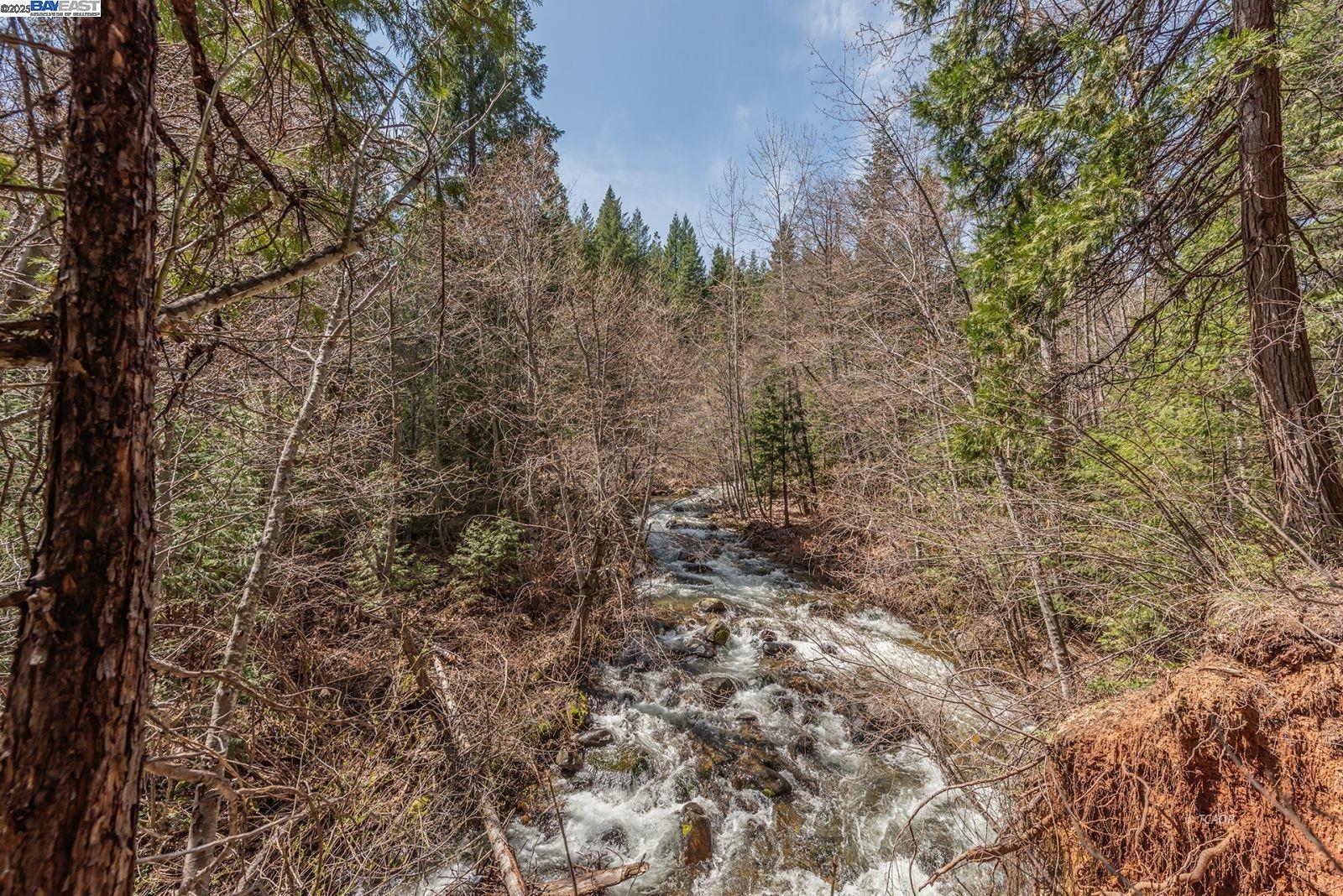 Detail Gallery Image 38 of 56 For 121 Mountain Aire Ln, Trinity Center,  CA 96091 - 2 Beds | 1 Baths