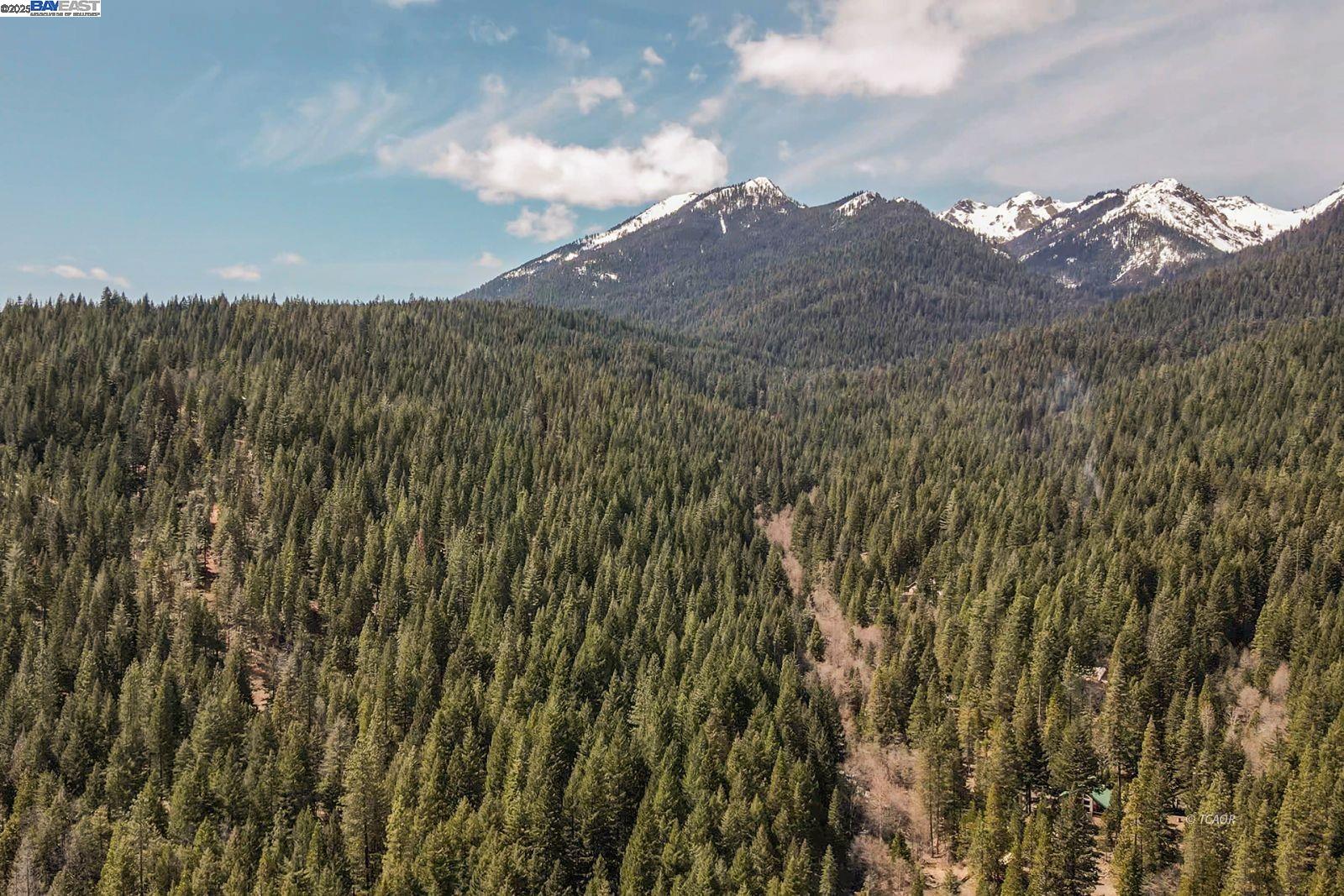 Detail Gallery Image 41 of 56 For 121 Mountain Aire Ln, Trinity Center,  CA 96091 - 2 Beds | 1 Baths