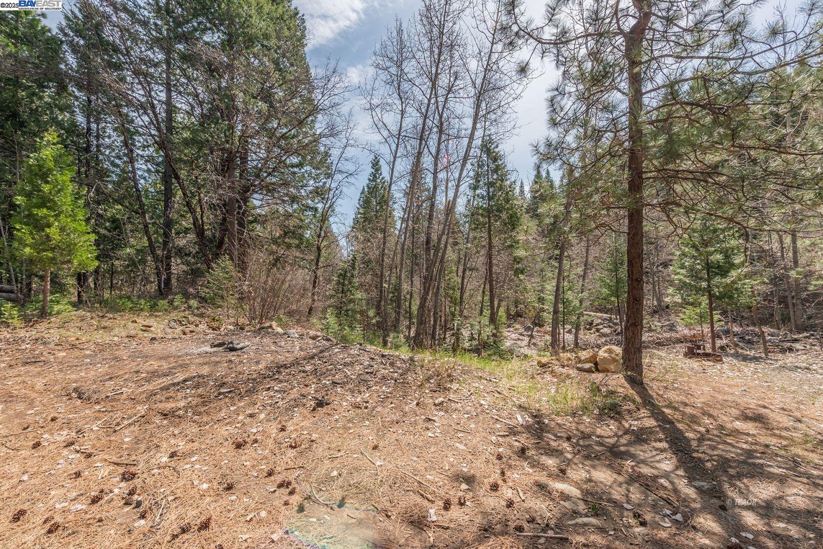 Detail Gallery Image 43 of 56 For 121 Mountain Aire Ln, Trinity Center,  CA 96091 - 2 Beds | 1 Baths