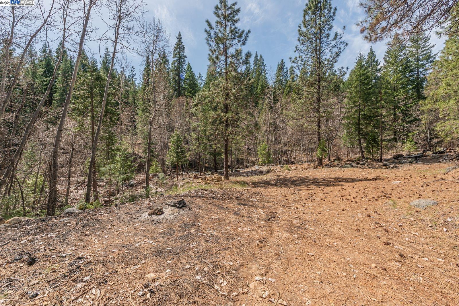 Detail Gallery Image 46 of 56 For 121 Mountain Aire Ln, Trinity Center,  CA 96091 - 2 Beds | 1 Baths