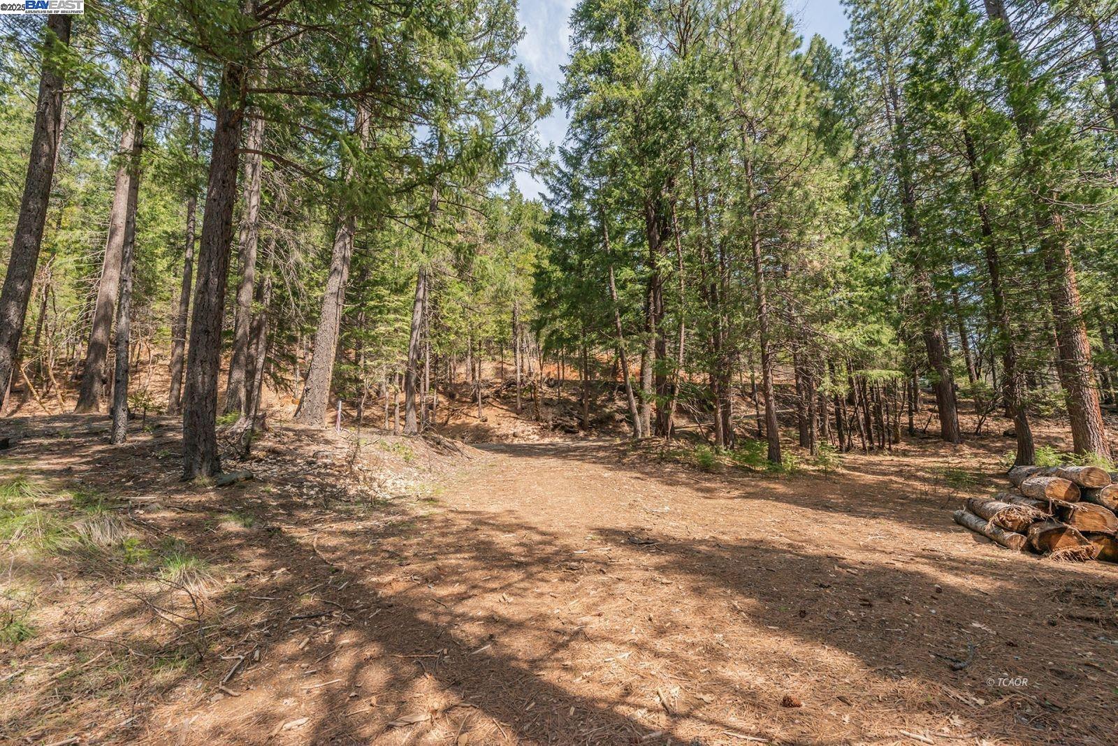 Detail Gallery Image 47 of 56 For 121 Mountain Aire Ln, Trinity Center,  CA 96091 - 2 Beds | 1 Baths