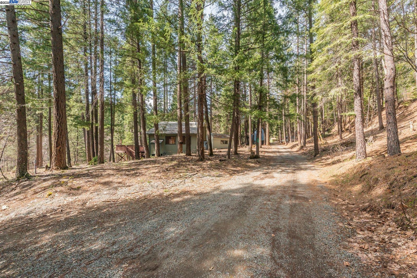 Detail Gallery Image 51 of 56 For 121 Mountain Aire Ln, Trinity Center,  CA 96091 - 2 Beds | 1 Baths