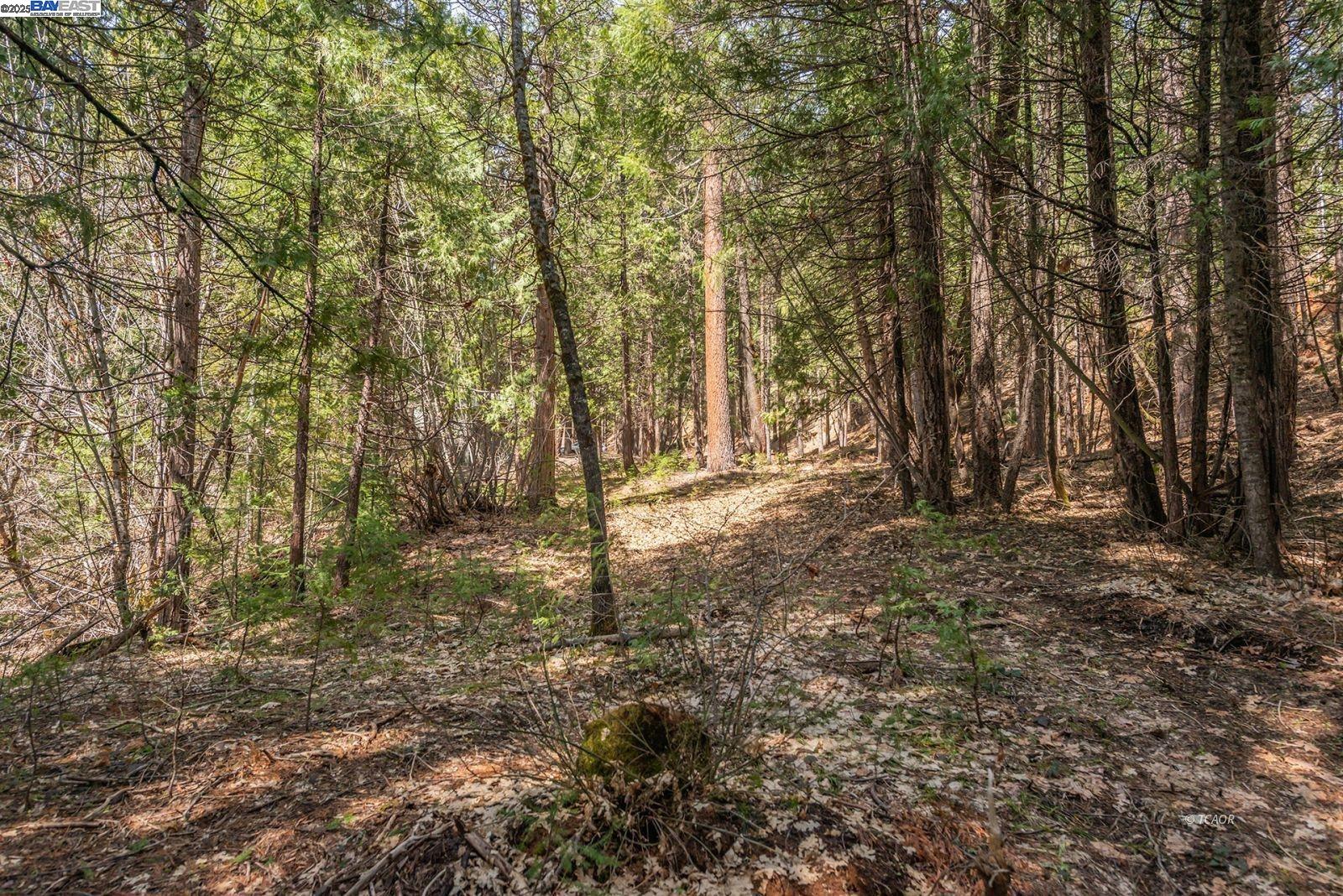 Detail Gallery Image 56 of 56 For 121 Mountain Aire Ln, Trinity Center,  CA 96091 - 2 Beds | 1 Baths