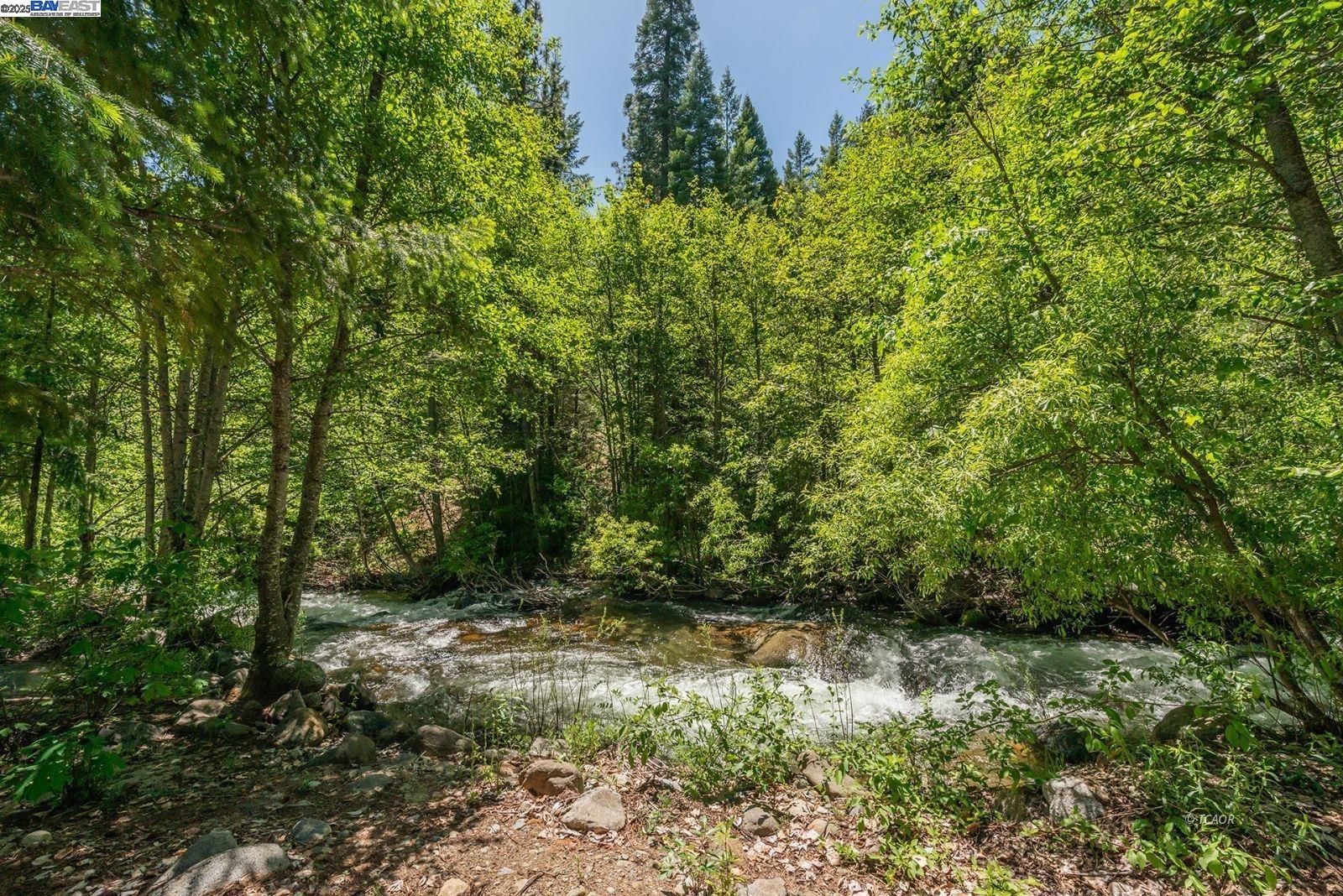 Detail Gallery Image 9 of 56 For 121 Mountain Aire Ln, Trinity Center,  CA 96091 - 2 Beds | 1 Baths