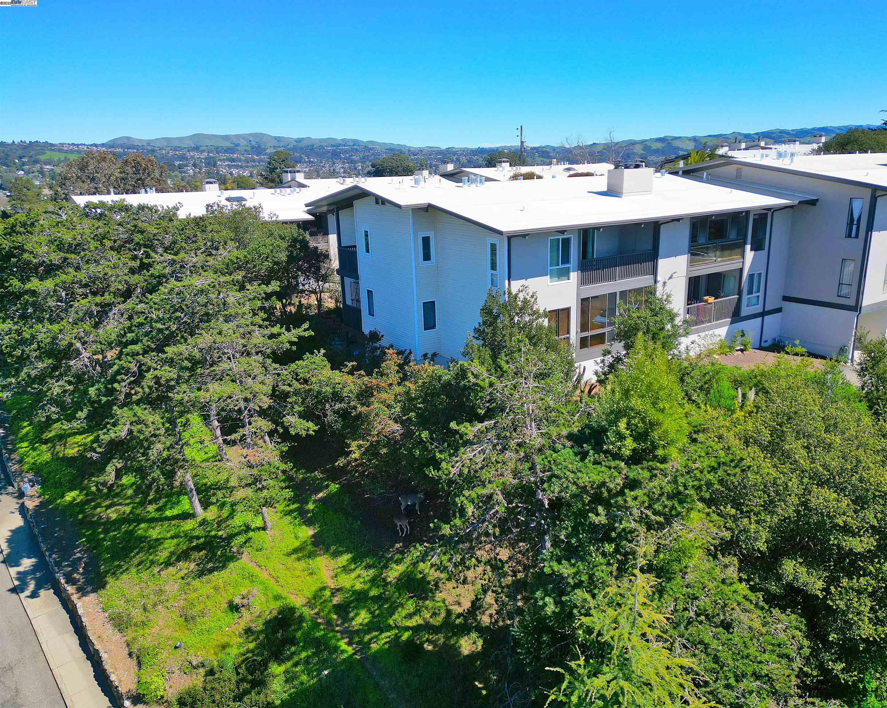 Photo #31: 41095177 Listing: Photo #31