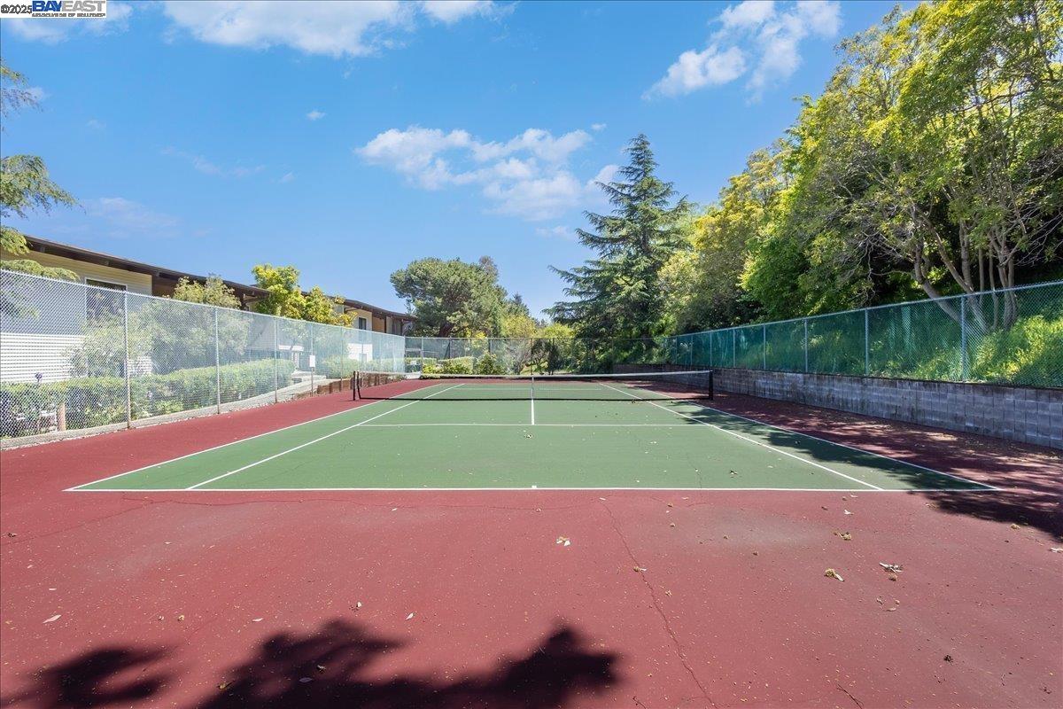 Photo #38: 41095177 Listing: Photo #38