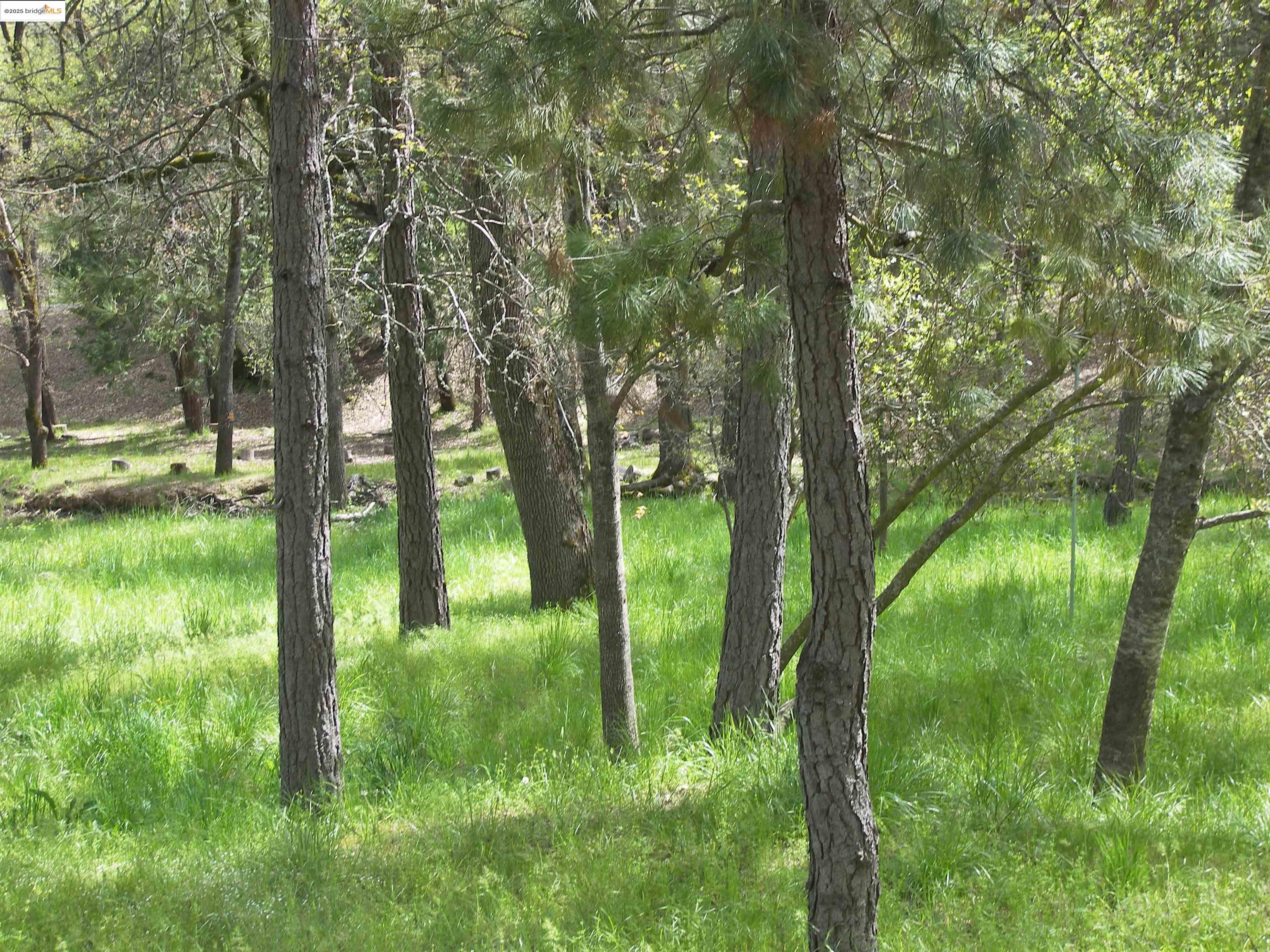 19545 Pleasant View Dr., Groveland CA 95321 — photo 5