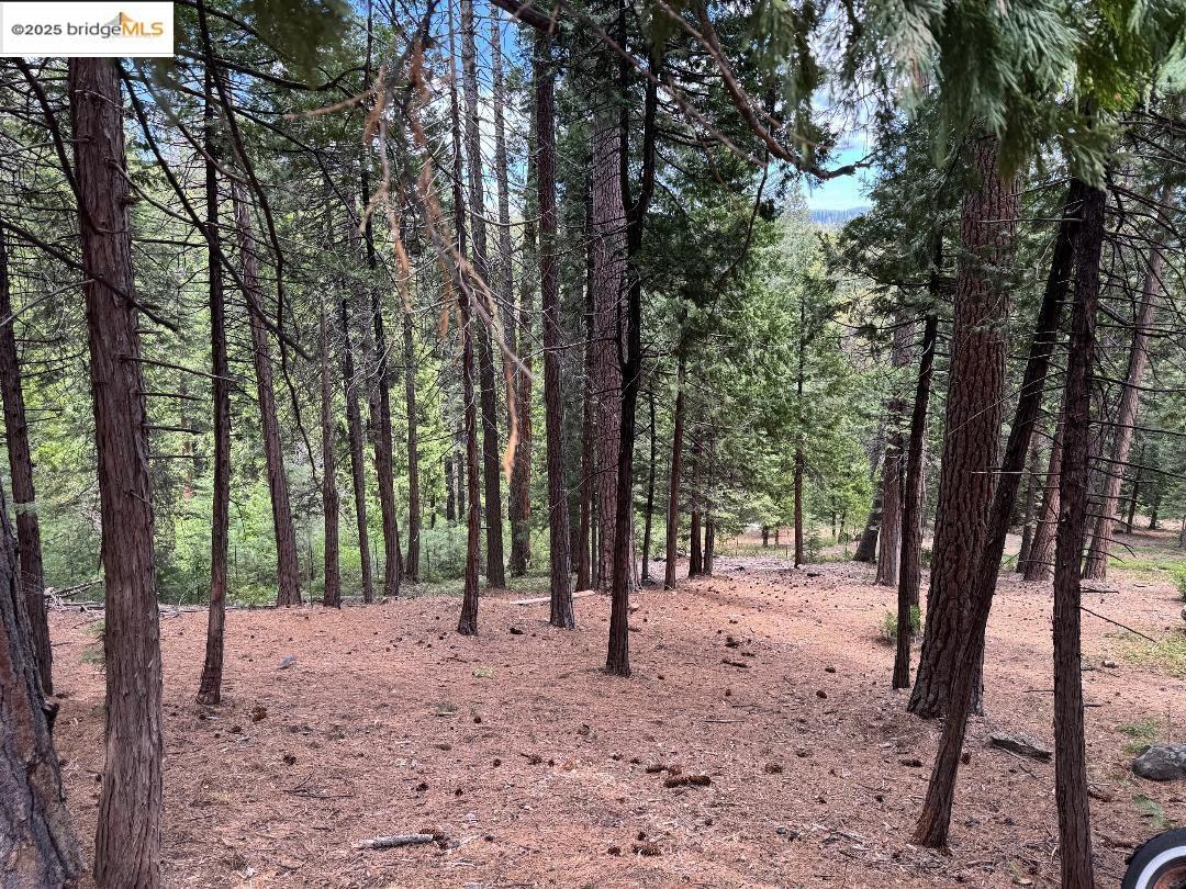 5836 Golden Oaks Rd, Paradise, CA, 95969