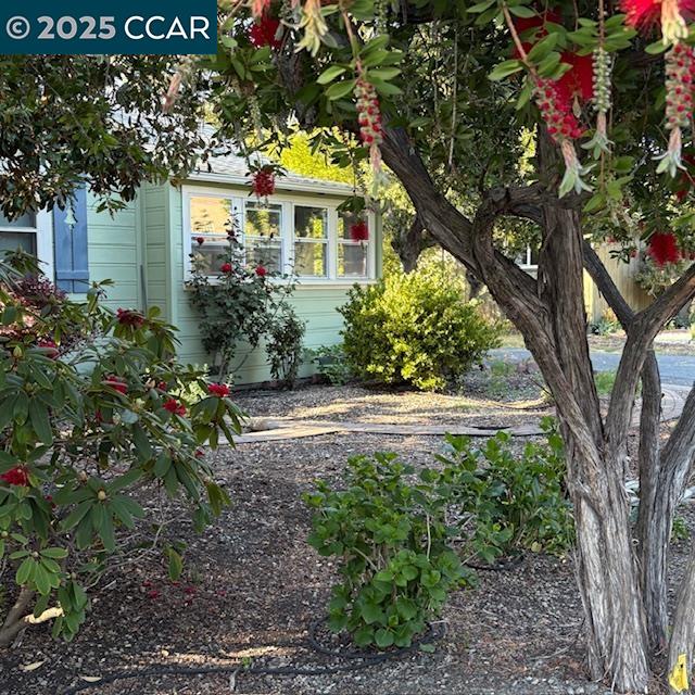 2150 Whyte Park Ave, Walnut Creek, CA, 94595