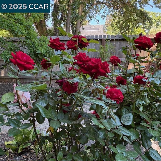 2150 Whyte Park Ave, Walnut Creek, CA, 94595