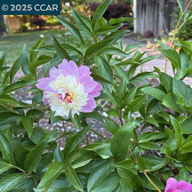 2150 Whyte Park Ave, Walnut Creek, CA, 94595