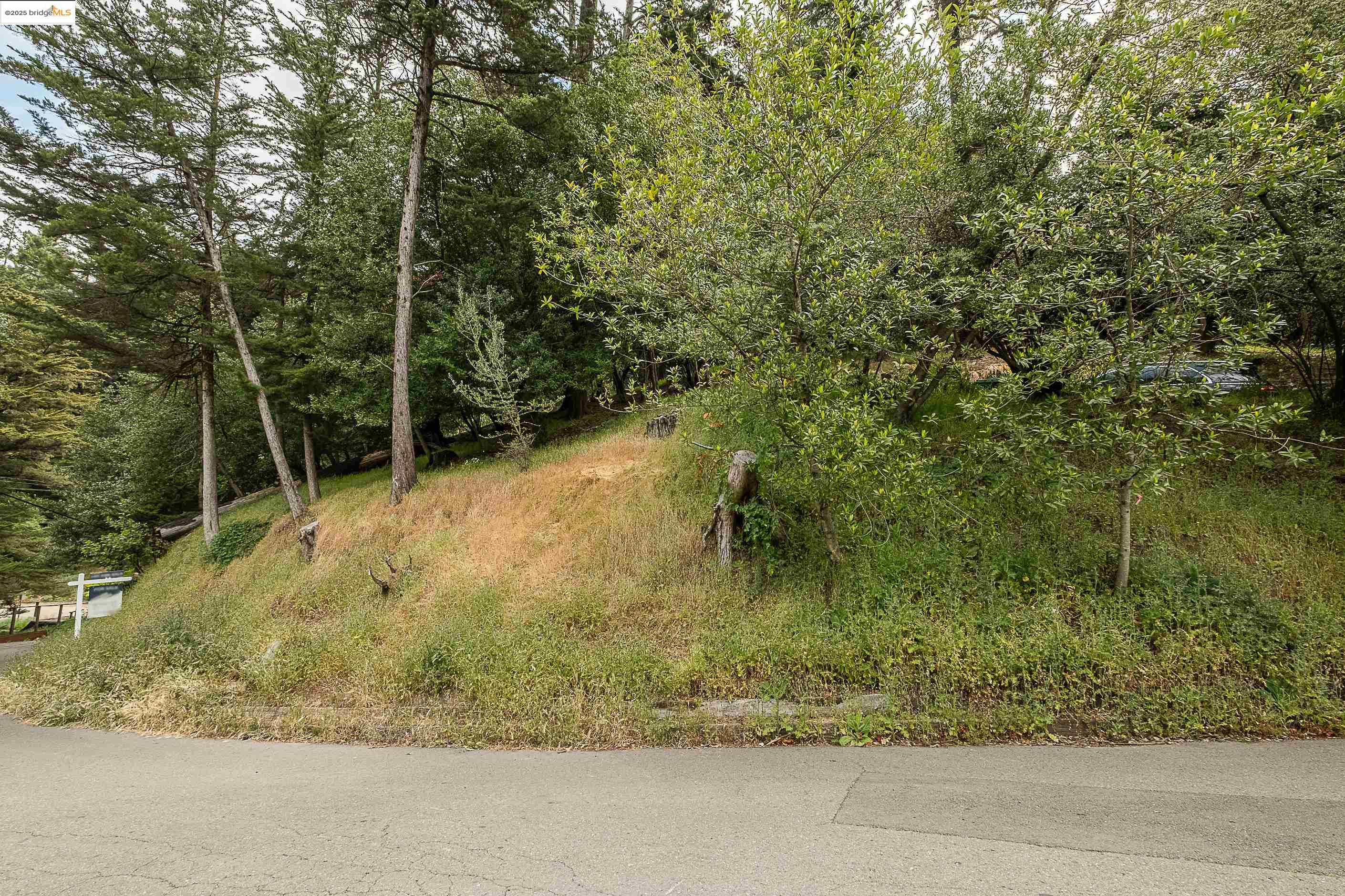 0 Chelsea Dr, Oakland CA 94611 — photo 10