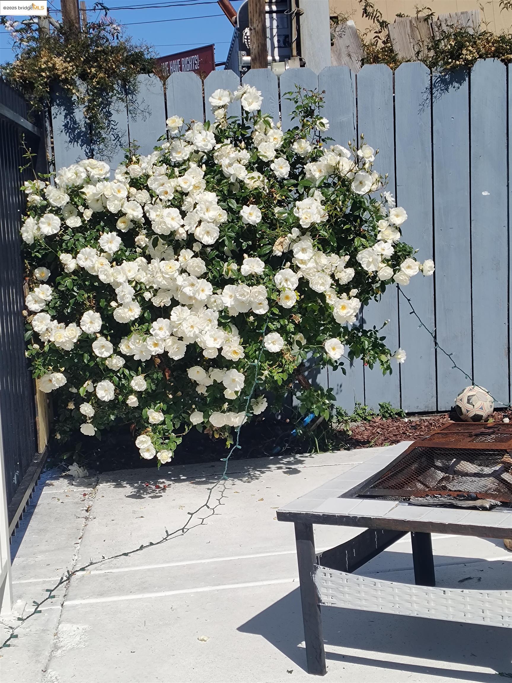 Detail Gallery Image 17 of 40 For 3532 San Leandro St #L,  Oakland,  CA 94601 - 1 Beds | 1 Baths