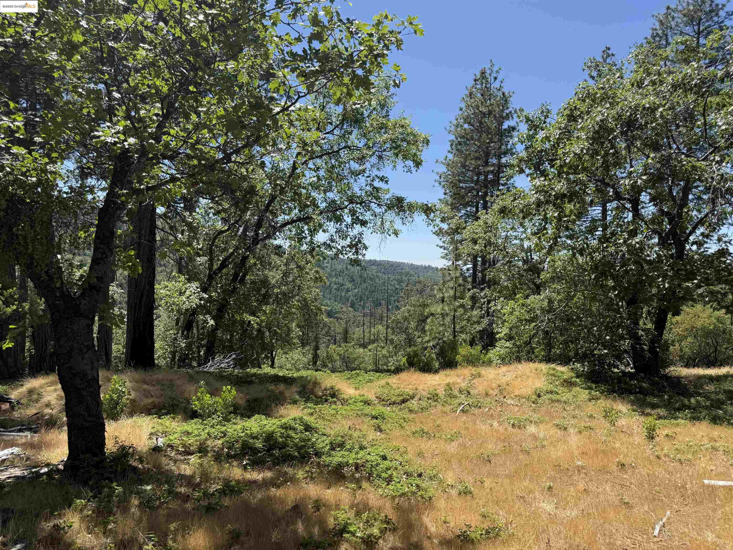 0000 Forest Service Road 3N50, Sonora CA 95370