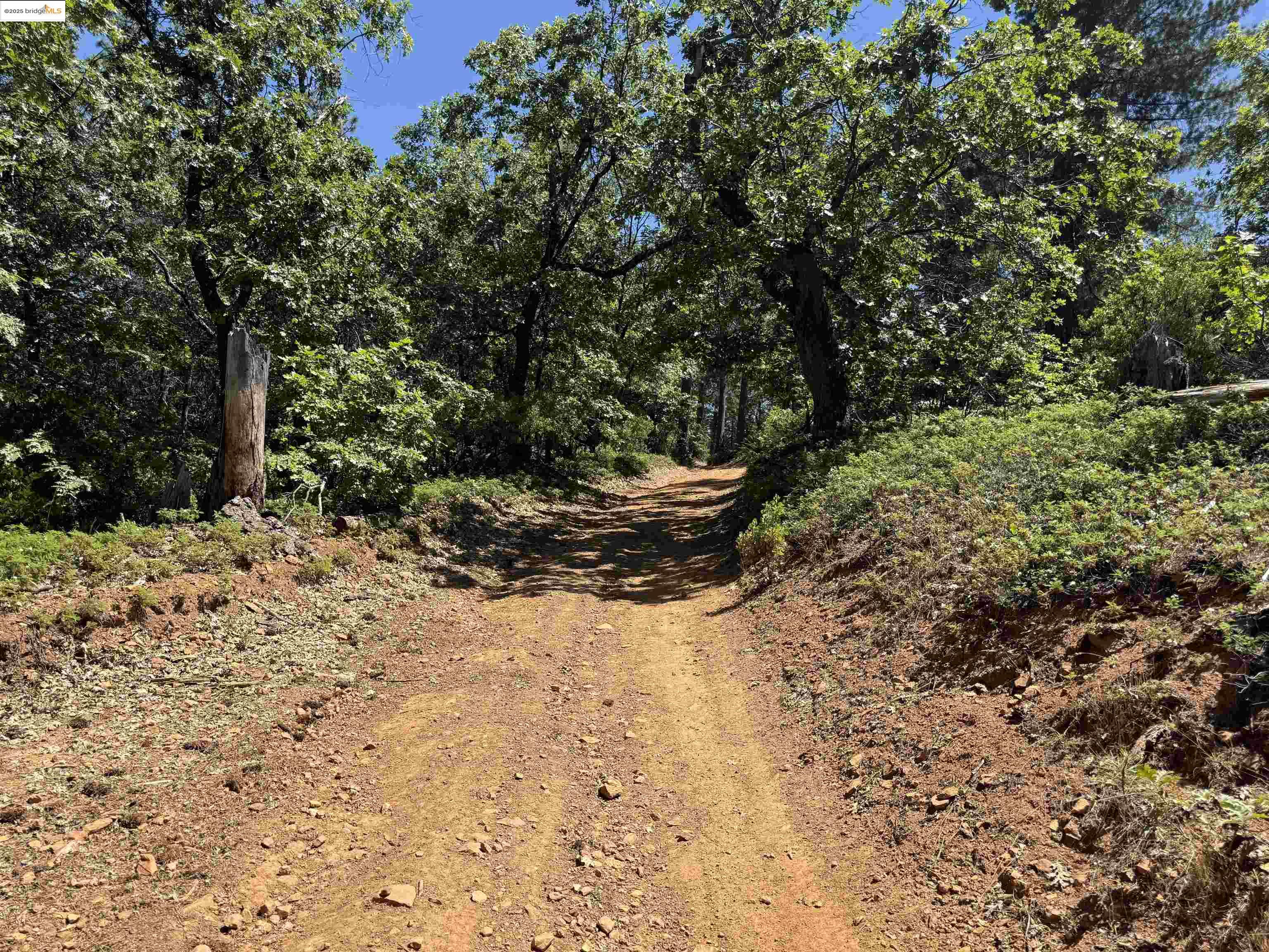 0000 Forest Service Road 3N50, Sonora CA 95370 — photo 6