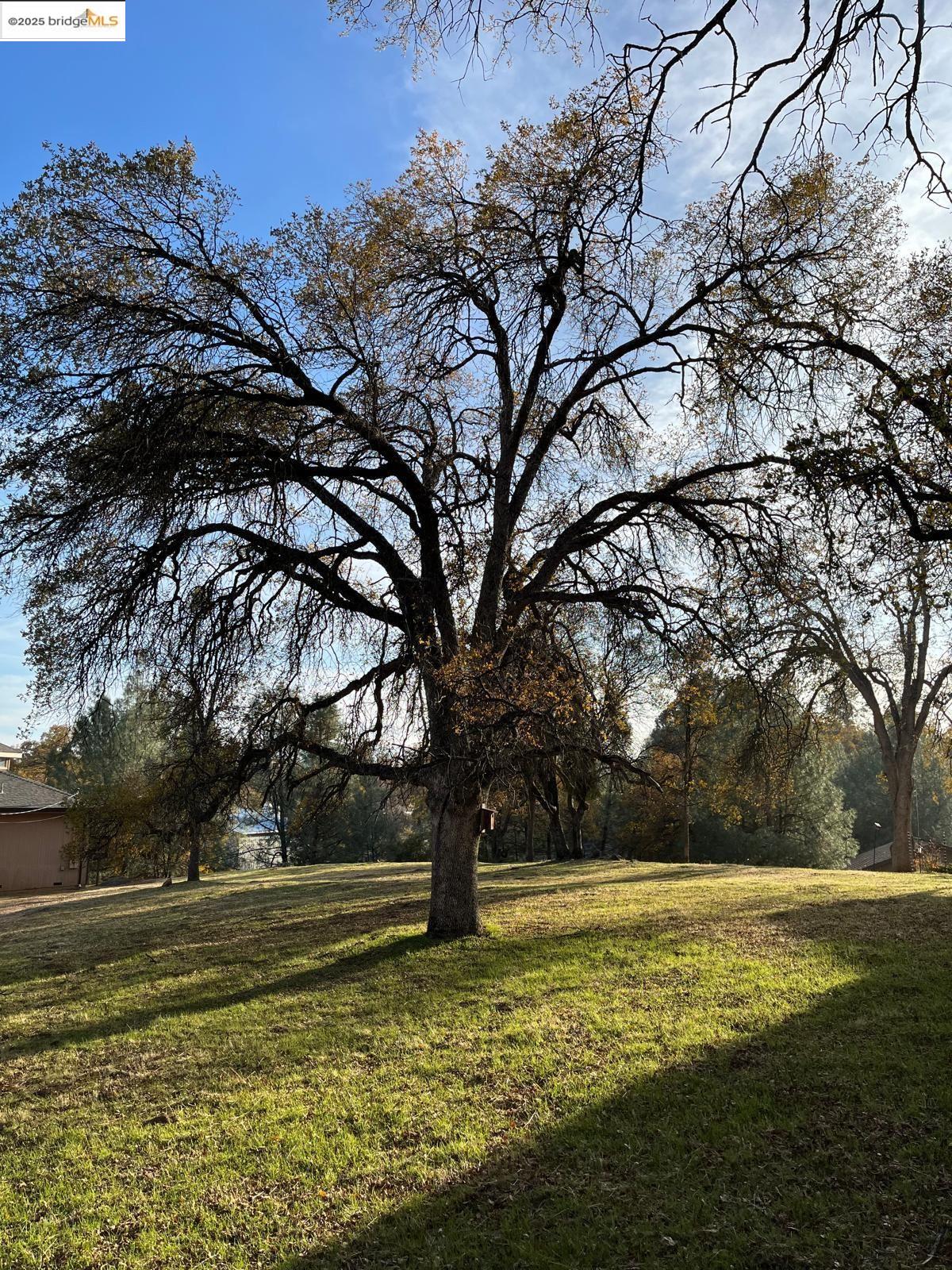 21045 Hemlock Street, Groveland, CA, 95321