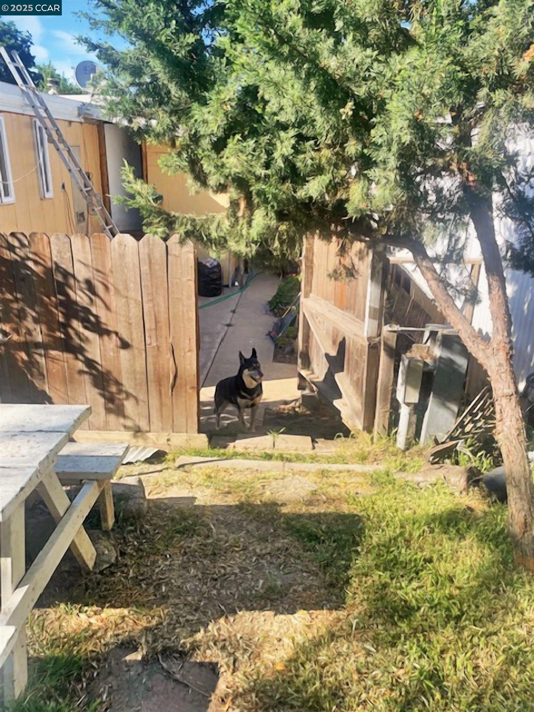 Detail Gallery Image 17 of 22 For 841 W Brannan Island Rd #5,  Isleton,  CA 95641 - 2 Beds | 1 Baths