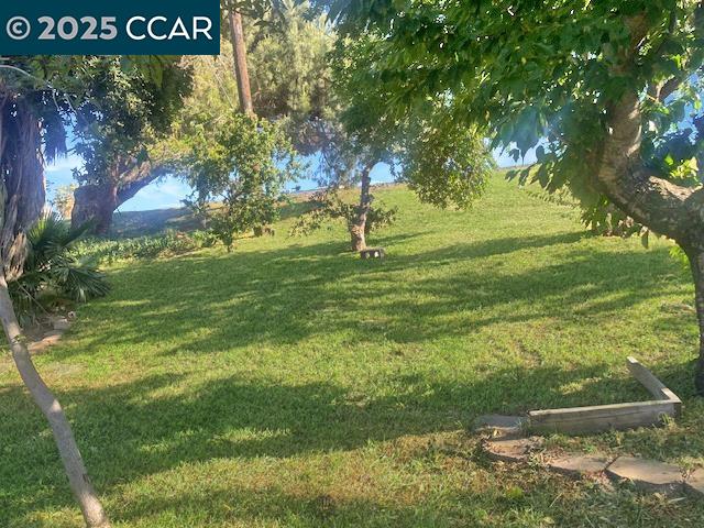 Detail Gallery Image 20 of 22 For 841 W Brannan Island Rd #5,  Isleton,  CA 95641 - 2 Beds | 1 Baths