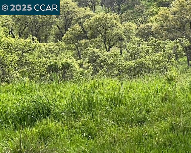 14 Frenchbar Road, La Grange, CA, 95359