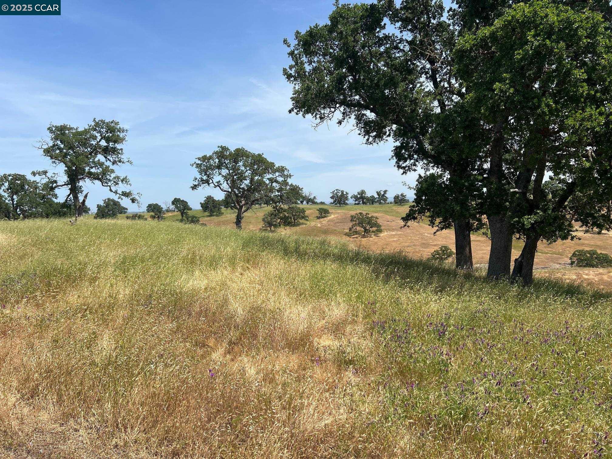 14 Frenchbar Road, La Grange, CA, 95359