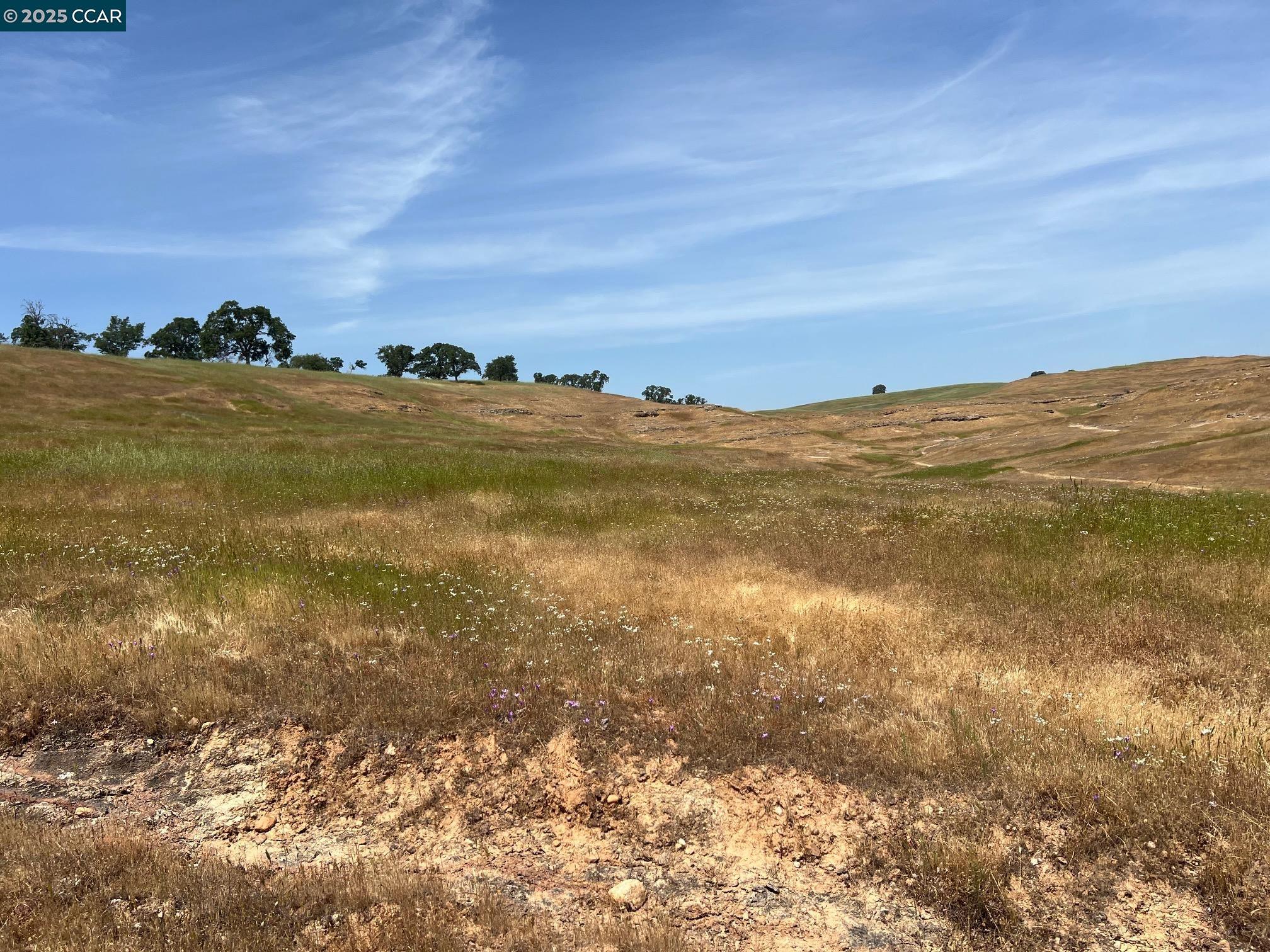 14 Frenchbar Road, La Grange, CA, 95359