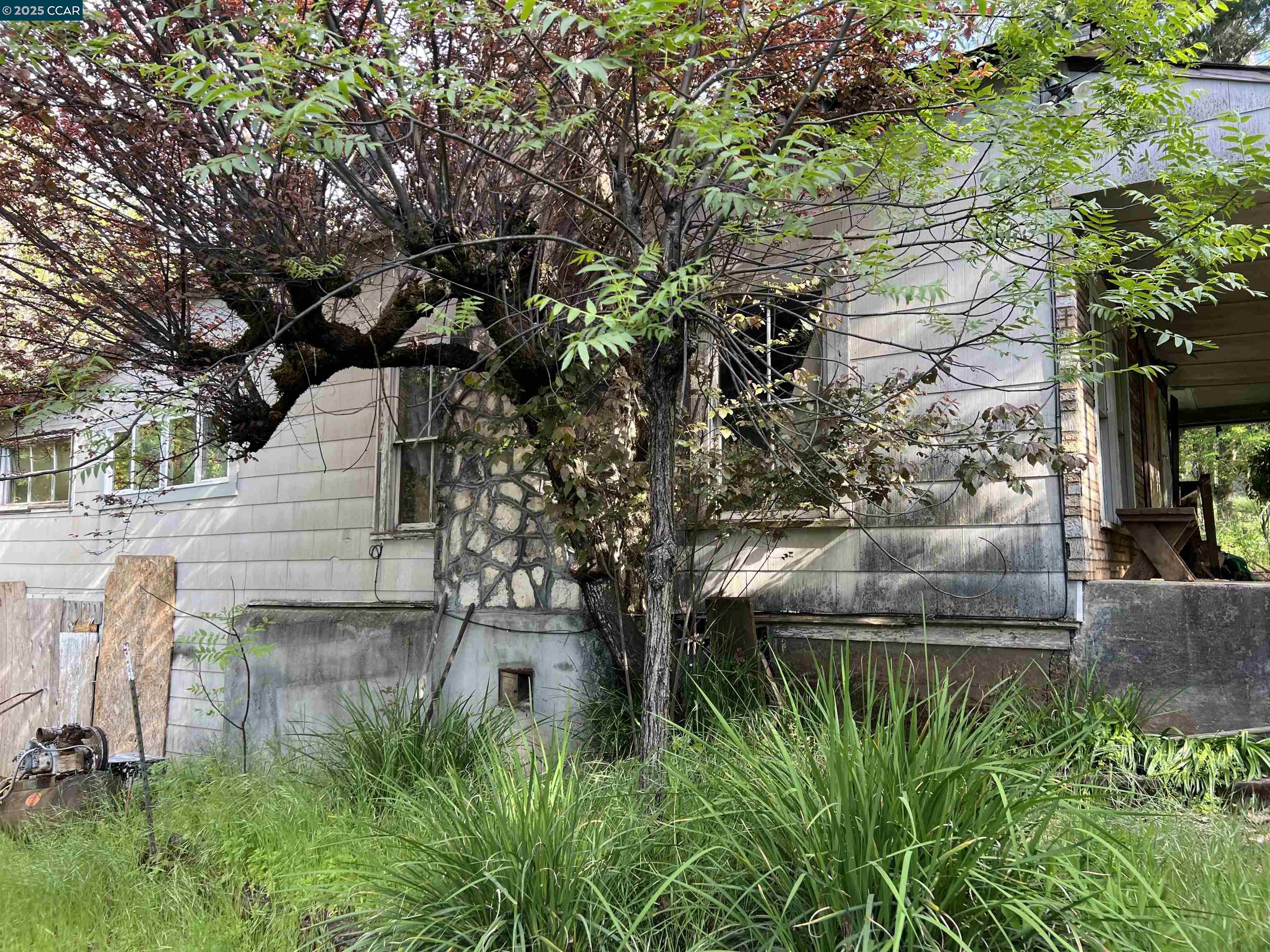 Front Image Thumbnail for CC41100038